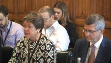 One of Baroness Brown's major concerns regarding the strategy is its so-called “flexibility” mechanisms, which enable the Government to borrow from